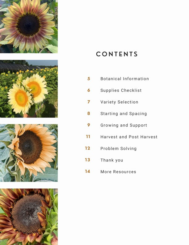 Grow Amazing Sunflowers (E-Book)