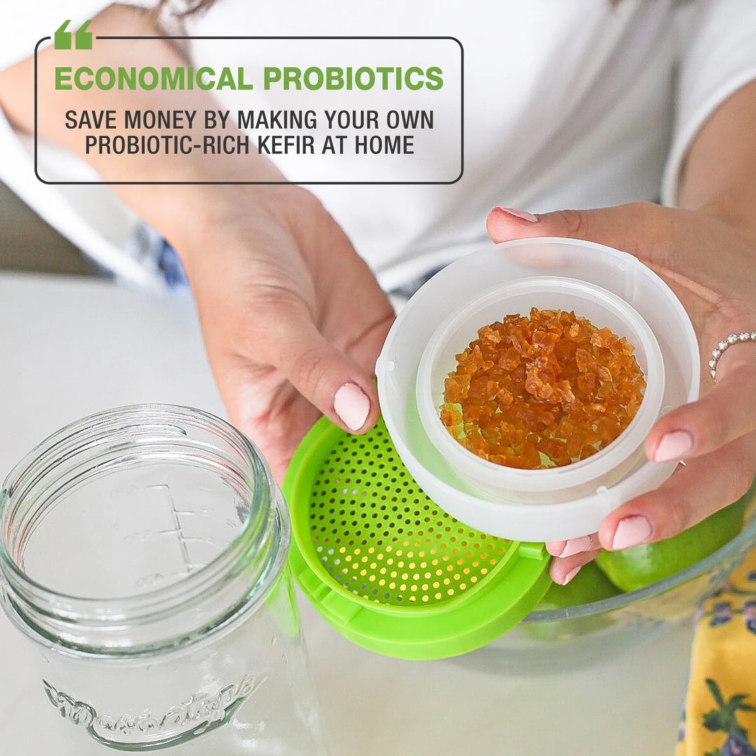 Water Kefir Starter Kit 3-Piece Set