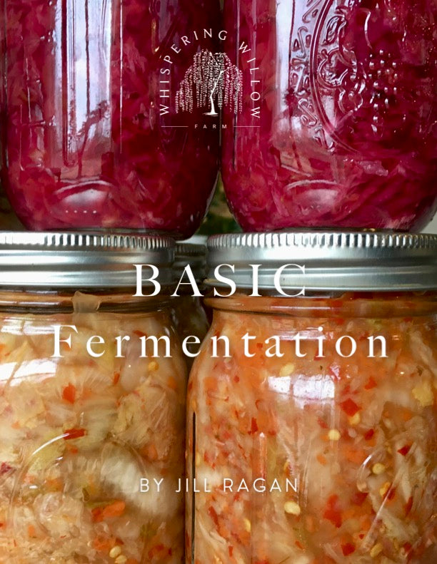 Basic Fermentation (E-Book)
